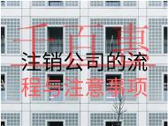 注銷公司的流程與注意事項(xiàng)