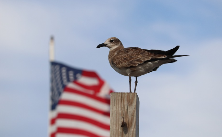 在美國持L1簽證可以在美國待多久？
