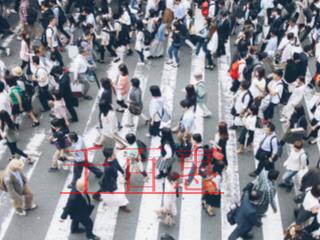 公司不經(jīng)營(yíng)了是否可以簡(jiǎn)易注銷(xiāo)？辦理?xiàng)l件有哪些？