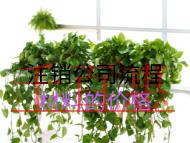 注銷公司流程材料的價格 注銷公司流程材料的價格